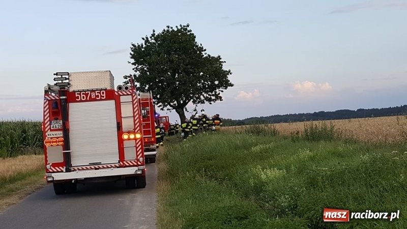 Zdjęcie w galerii na portalu naszraciborz.pl: Pogranicze w ogniu. Dwa pożary zboża na pniu pomiędzy Tworkowem a Hacią  wiadomości z regionu