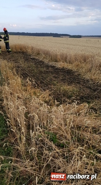 Zdjęcie w galerii na portalu naszraciborz.pl: Pogranicze w ogniu. Dwa pożary zboża na pniu pomiędzy Tworkowem a Hacią  wiadomości z regionu