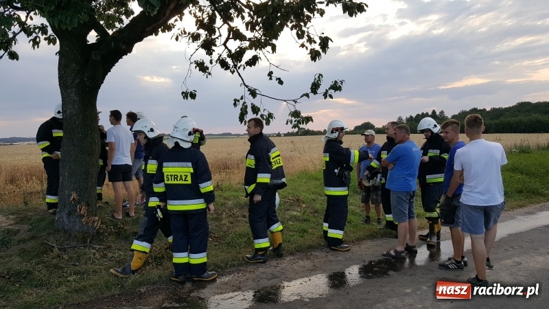 Zdjęcie w galerii na portalu naszraciborz.pl: Pogranicze w ogniu. Dwa pożary zboża na pniu pomiędzy Tworkowem a Hacią  wiadomości z regionu