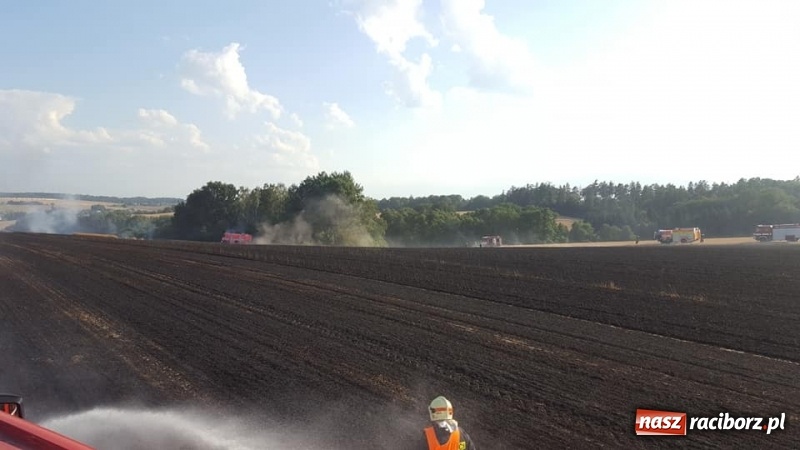 Zdjęcie w galerii na portalu naszraciborz.pl: Pogranicze w ogniu. Dwa pożary zboża na pniu pomiędzy Tworkowem a Hacią  wiadomości z regionu