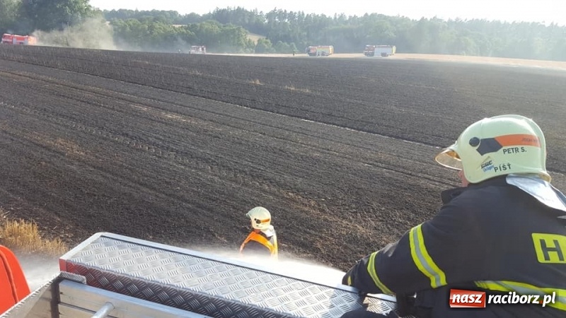 Zdjęcie w galerii na portalu naszraciborz.pl: Pogranicze w ogniu. Dwa pożary zboża na pniu pomiędzy Tworkowem a Hacią  wiadomości z regionu