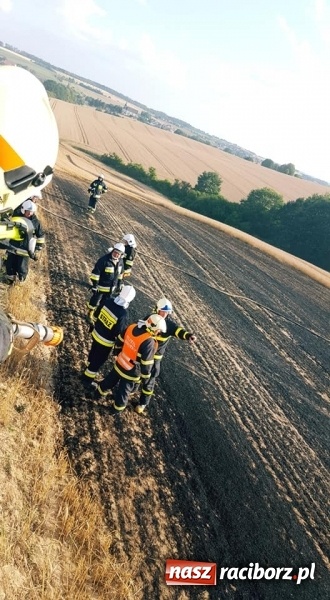 Zdjęcie w galerii na portalu naszraciborz.pl: Pogranicze w ogniu. Dwa pożary zboża na pniu pomiędzy Tworkowem a Hacią  wiadomości z regionu