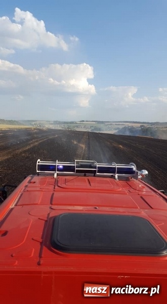 Zdjęcie w galerii na portalu naszraciborz.pl: Pogranicze w ogniu. Dwa pożary zboża na pniu pomiędzy Tworkowem a Hacią  wiadomości z regionu