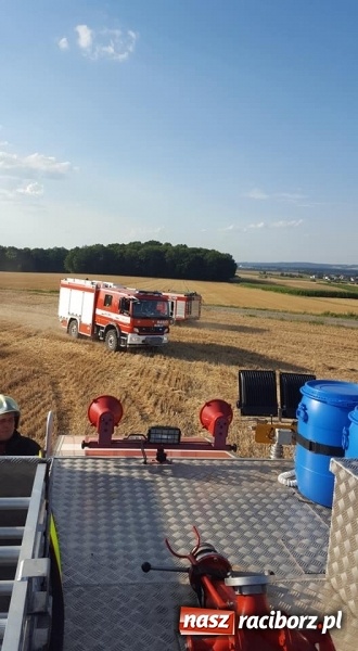 Zdjęcie w galerii na portalu naszraciborz.pl: Pogranicze w ogniu. Dwa pożary zboża na pniu pomiędzy Tworkowem a Hacią  wiadomości z regionu