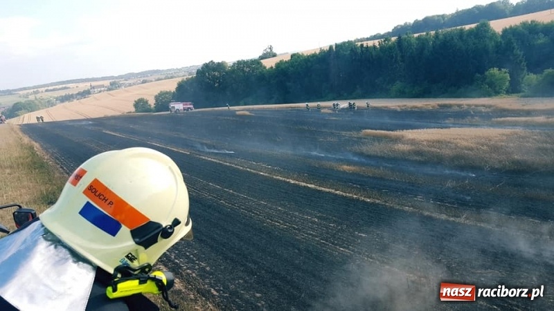 Zdjęcie w galerii na portalu naszraciborz.pl: Pogranicze w ogniu. Dwa pożary zboża na pniu pomiędzy Tworkowem a Hacią  wiadomości z regionu