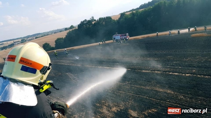 Zdjęcie w galerii na portalu naszraciborz.pl: Pogranicze w ogniu. Dwa pożary zboża na pniu pomiędzy Tworkowem a Hacią  wiadomości z regionu