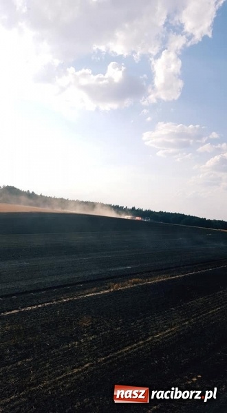 Zdjęcie w galerii na portalu naszraciborz.pl: Pogranicze w ogniu. Dwa pożary zboża na pniu pomiędzy Tworkowem a Hacią  wiadomości z regionu