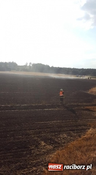 Zdjęcie w galerii na portalu naszraciborz.pl: Pogranicze w ogniu. Dwa pożary zboża na pniu pomiędzy Tworkowem a Hacią  wiadomości z regionu