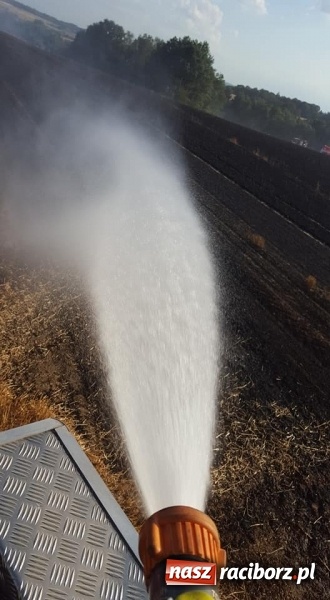 Zdjęcie w galerii na portalu naszraciborz.pl: Pogranicze w ogniu. Dwa pożary zboża na pniu pomiędzy Tworkowem a Hacią  wiadomości z regionu