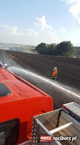 Zdjęcie w galerii na portalu naszraciborz.pl: Pogranicze w ogniu. Dwa pożary zboża na pniu pomiędzy Tworkowem a Hacią  wiadomości z regionu