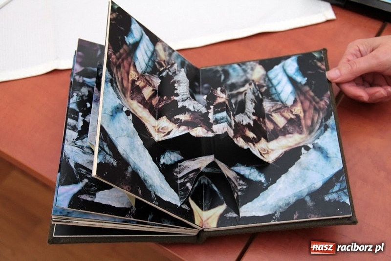 Zdjęcie w galerii na portalu naszraciborz.pl: DYPLOMY 2018 - wernisaż wystawy prac dyplomowych absolwentów PWSZ  wiadomości z regionu