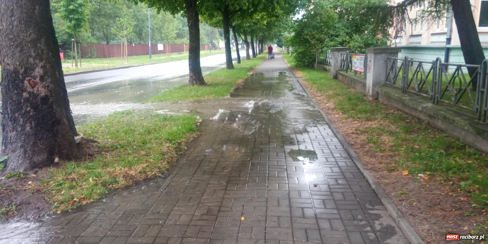 Zdjęcie w galerii na portalu naszraciborz.pl: Awaria wodociągowa przy Słowackiego wiadomości z regionu