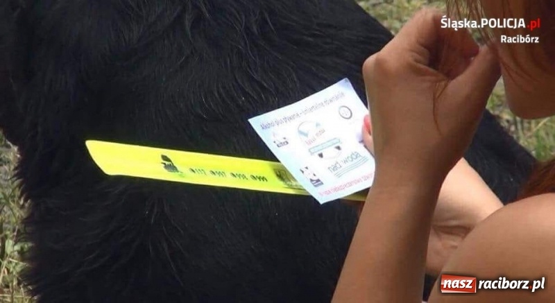 Zdjęcie w galerii na portalu naszraciborz.pl: Kuźniańscy policjanci i WOPR dbają o bezpieczeństwo nad wodą wiadomości z regionu