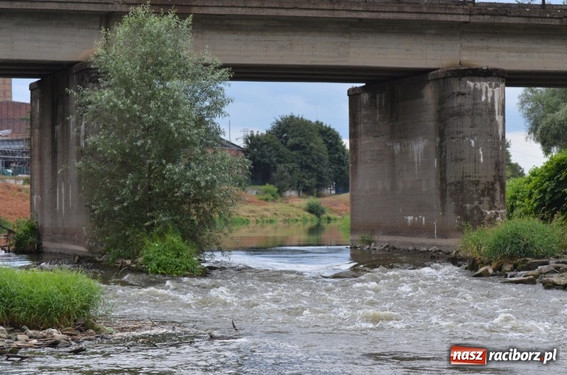 Zdjęcie w galerii na portalu naszraciborz.pl: Wakacyjne spływy z OSiR-em. Takie emocje na odcinku pod mostem kolejowym  wiadomości z regionu