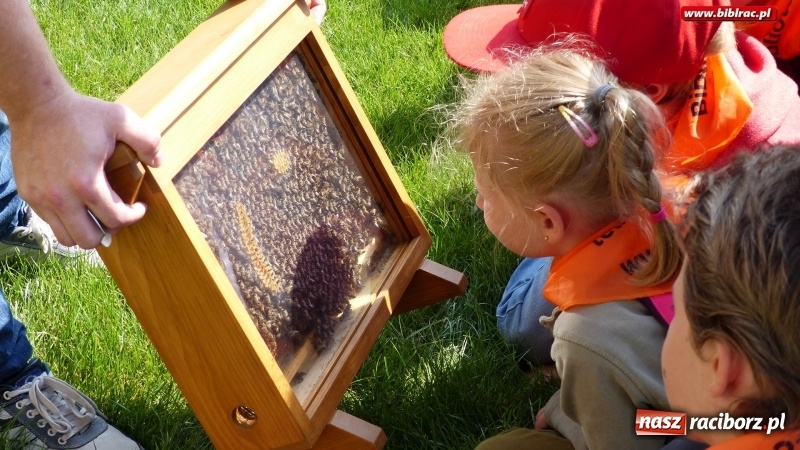 Zdjęcie w galerii na portalu naszraciborz.pl: Uczestnicy Lata z biblioteką na warsztatach w Muzeum Śląskim wiadomości z regionu