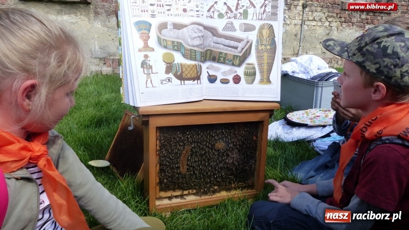 Zdjęcie w galerii na portalu naszraciborz.pl: Uczestnicy Lata z biblioteką na warsztatach w Muzeum Śląskim wiadomości z regionu