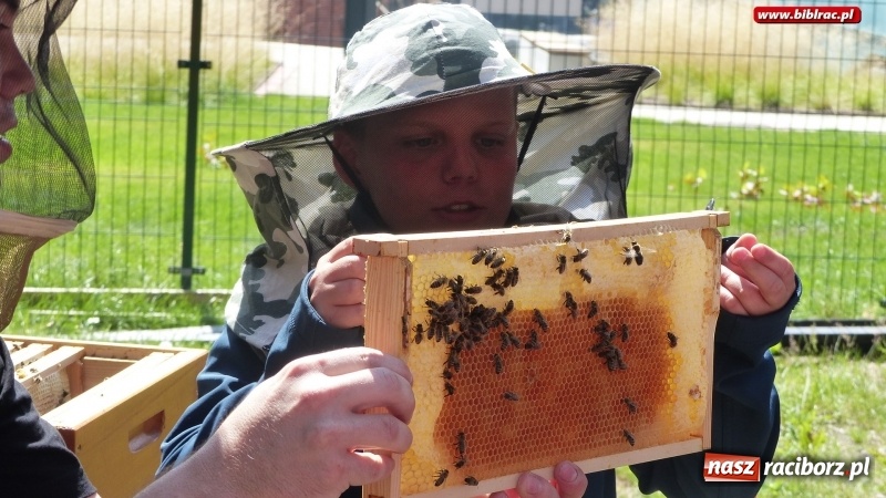 Zdjęcie w galerii na portalu naszraciborz.pl: Uczestnicy Lata z biblioteką na warsztatach w Muzeum Śląskim wiadomości z regionu