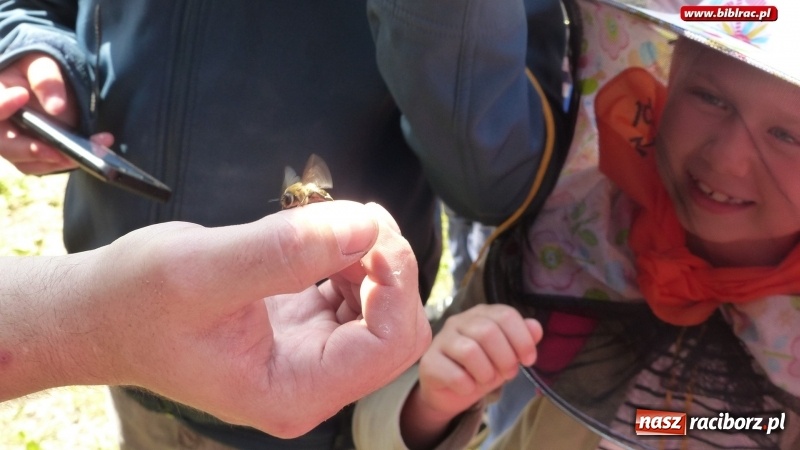 Zdjęcie w galerii na portalu naszraciborz.pl: Uczestnicy Lata z biblioteką na warsztatach w Muzeum Śląskim wiadomości z regionu
