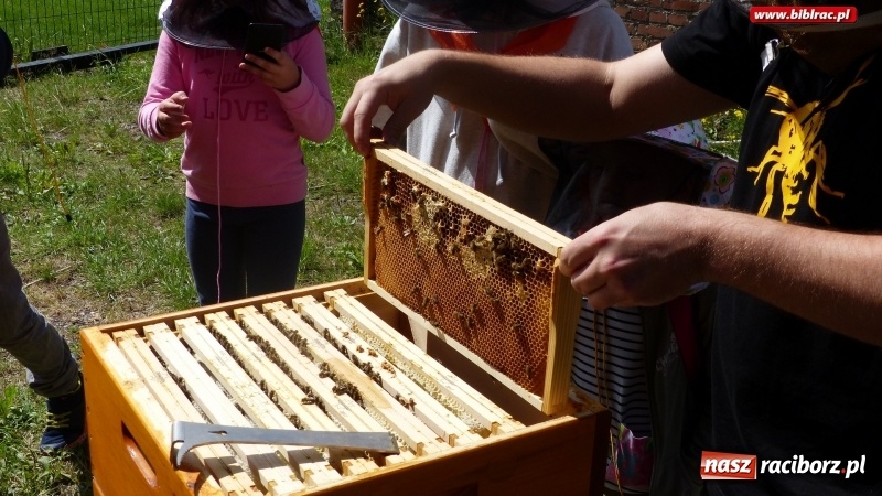 Zdjęcie w galerii na portalu naszraciborz.pl: Uczestnicy Lata z biblioteką na warsztatach w Muzeum Śląskim wiadomości z regionu