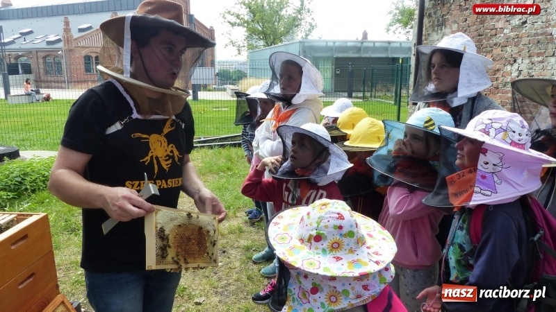 Zdjęcie w galerii na portalu naszraciborz.pl: Uczestnicy Lata z biblioteką na warsztatach w Muzeum Śląskim wiadomości z regionu