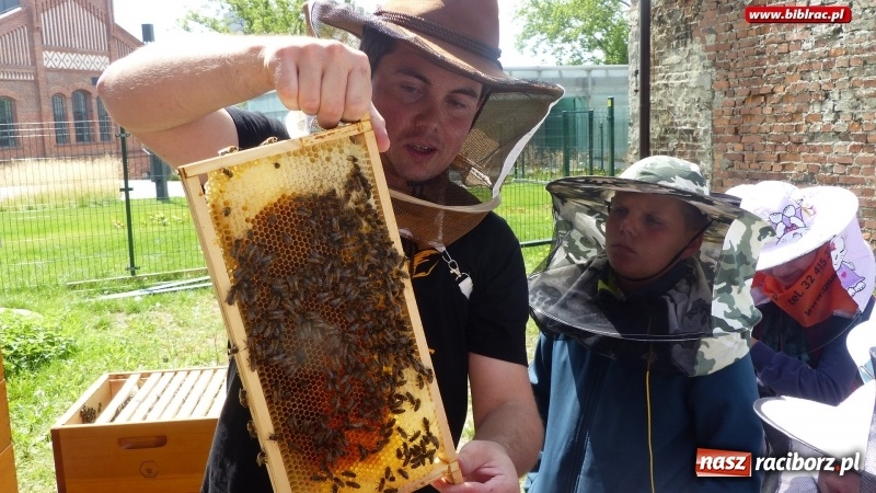 Zdjęcie w galerii na portalu naszraciborz.pl: Uczestnicy Lata z biblioteką na warsztatach w Muzeum Śląskim wiadomości z regionu