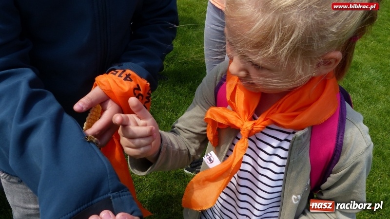 Zdjęcie w galerii na portalu naszraciborz.pl: Uczestnicy Lata z biblioteką na warsztatach w Muzeum Śląskim wiadomości z regionu
