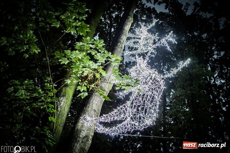 Zdjęcie w galerii na portalu naszraciborz.pl: INTRO Festival 2018 zaczął kołysać Raciborzem  wiadomości z regionu