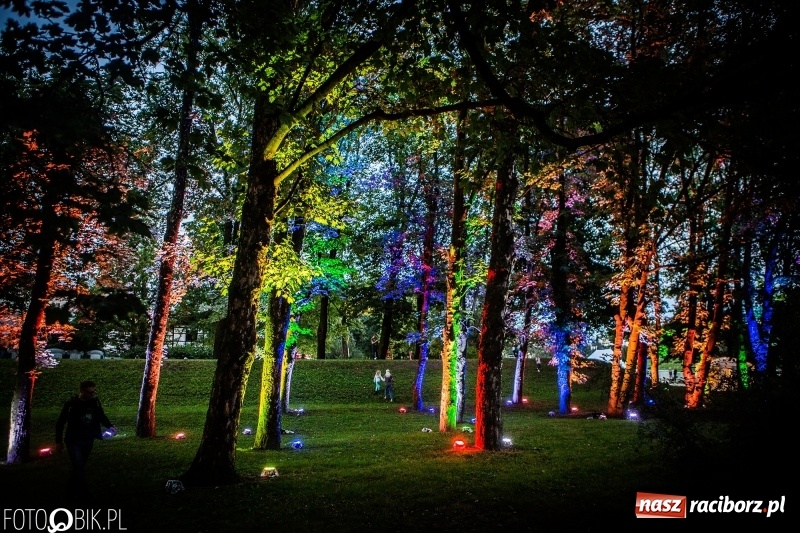 Zdjęcie w galerii na portalu naszraciborz.pl: INTRO Festival to nie tylko muzyka, ale i ŚWIATŁO. Mapping 3D kaplicy FOTO i WIDEO wiadomości z regionu