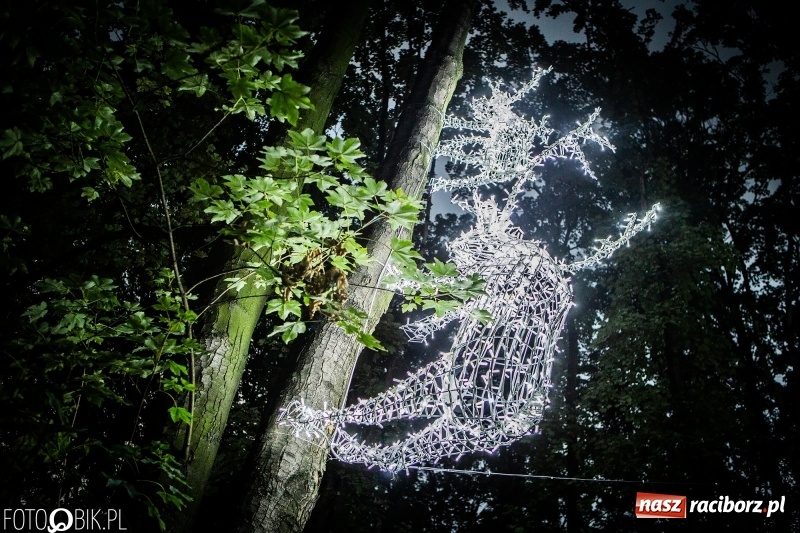 Zdjęcie w galerii na portalu naszraciborz.pl: INTRO Festival to nie tylko muzyka, ale i ŚWIATŁO. Mapping 3D kaplicy FOTO i WIDEO wiadomości z regionu