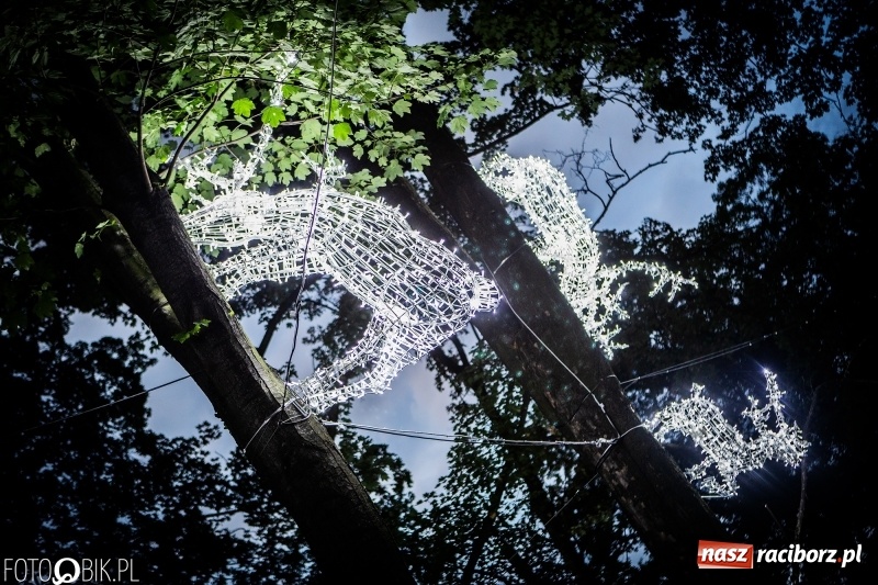 Zdjęcie w galerii na portalu naszraciborz.pl: INTRO Festival to nie tylko muzyka, ale i ŚWIATŁO. Mapping 3D kaplicy FOTO i WIDEO wiadomości z regionu