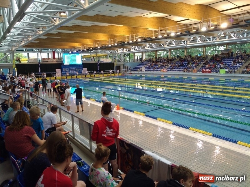Zdjęcie w galerii na portalu naszraciborz.pl: Pływanie. Medale pływaków SMS-u na Mistrzostwach Polski  wiadomości z regionu