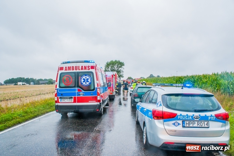 Zdjęcie w galerii na portalu naszraciborz.pl: Kierująca fiatem wypadła z drogi Lekartów-Cyprzanów. W szpitalu dwoje dzieci wiadomości z regionu