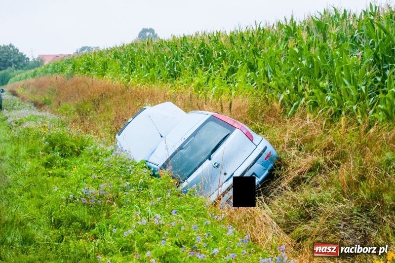 Zdjęcie w galerii na portalu naszraciborz.pl: Kierująca fiatem wypadła z drogi Lekartów-Cyprzanów. W szpitalu dwoje dzieci wiadomości z regionu