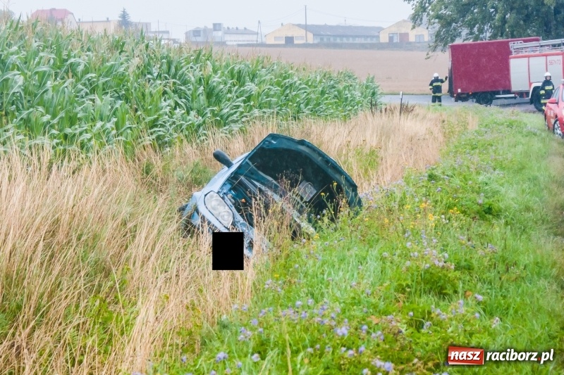 Zdjęcie w galerii na portalu naszraciborz.pl: Kierująca fiatem wypadła z drogi Lekartów-Cyprzanów. W szpitalu dwoje dzieci wiadomości z regionu