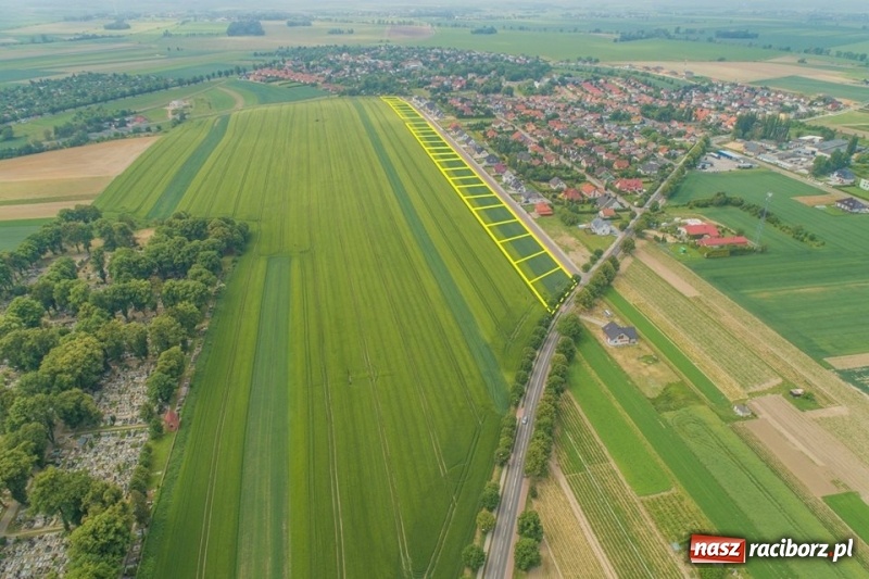 Zdjęcie w galerii na portalu naszraciborz.pl: Kolejne 65 działek w Ocicach na sprzedaż wiadomości z regionu