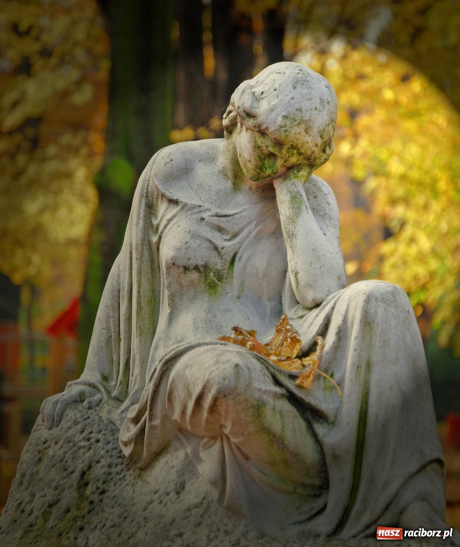 Zdjęcie w galerii na portalu naszraciborz.pl: Tak piękny jest nasz RACIBÓRZ  wiadomości z regionu