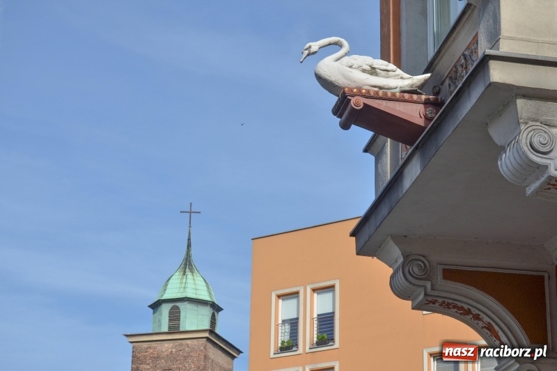 Zdjęcie w galerii na portalu naszraciborz.pl: Tak piękny jest nasz RACIBÓRZ  wiadomości z regionu