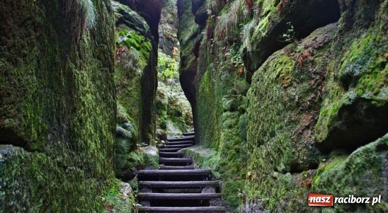 Zdjęcie w galerii na portalu naszraciborz.pl: Drezno i Szwajcaria Saksońska – fascynujące zabytki, magiczne zamki, cuda natury… wiadomości z regionu