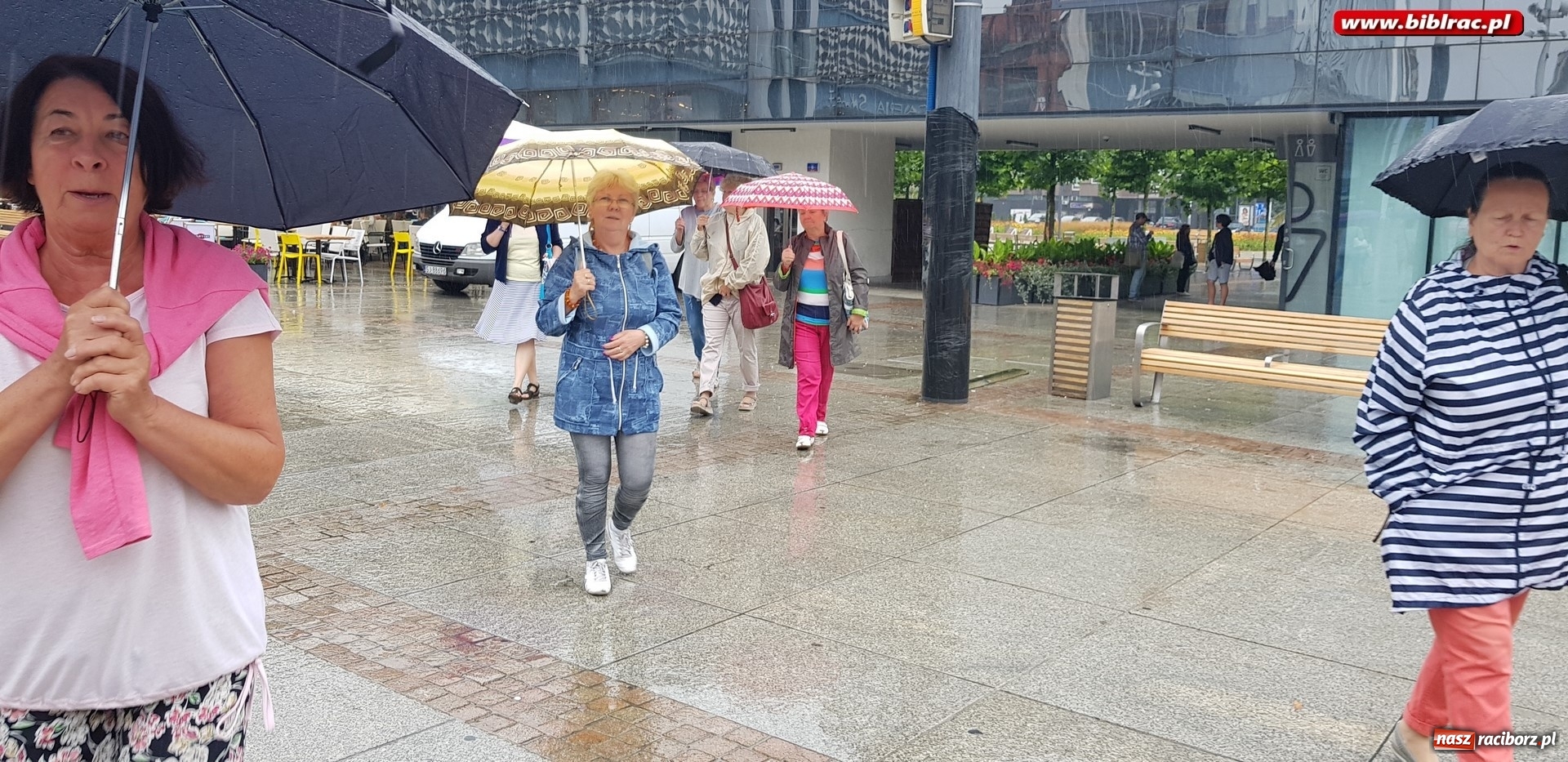 Zdjęcie w galerii na portalu naszraciborz.pl: Klub Przyjaciół Biblioteki na Ostrogu z wizytą w Katowicach wiadomości z regionu