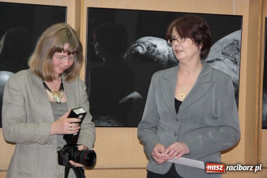 Zdjęcie w galerii na portalu naszraciborz.pl: Pomarańcze i papryki w obiektywie wiadomości z regionu