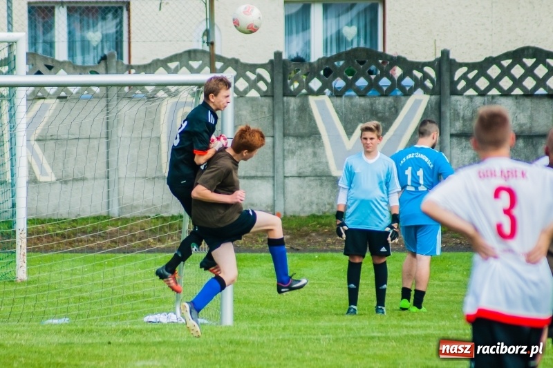Zdjęcie w galerii na portalu naszraciborz.pl: Walka o puchar sołtysa, czyli festyn rodzinny w Tworkowie wiadomości z regionu