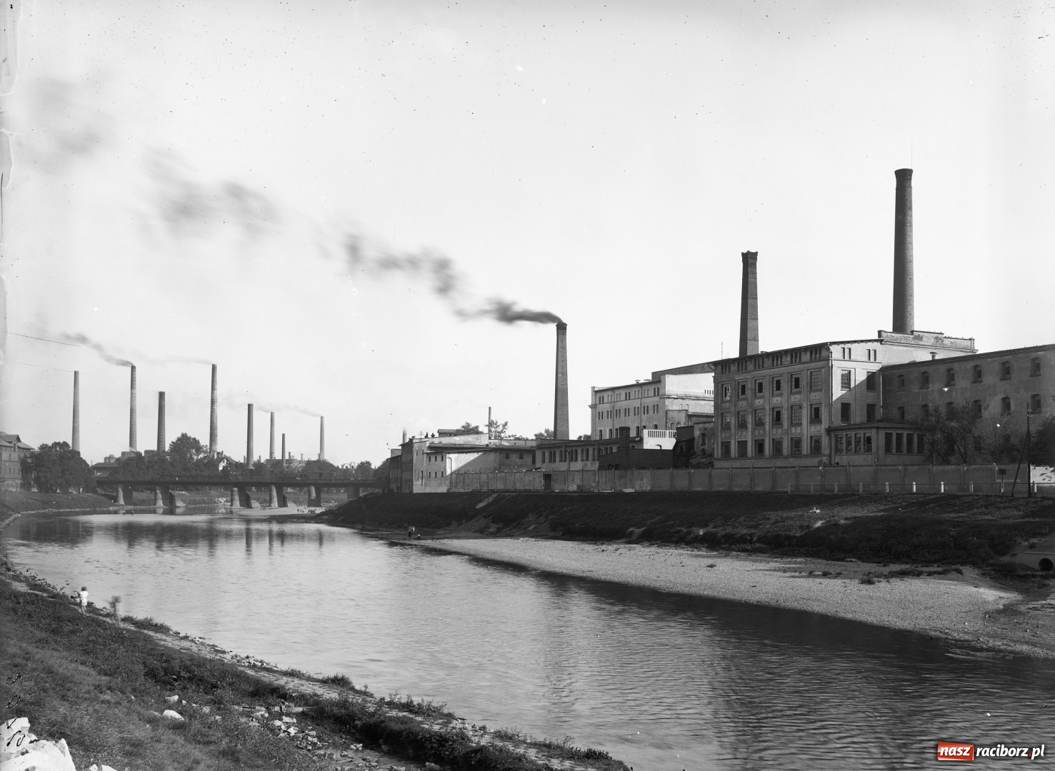 Zdjęcie w galerii na portalu naszraciborz.pl: Raciborskie plaże i pływające baseny FOTO  wiadomości z regionu