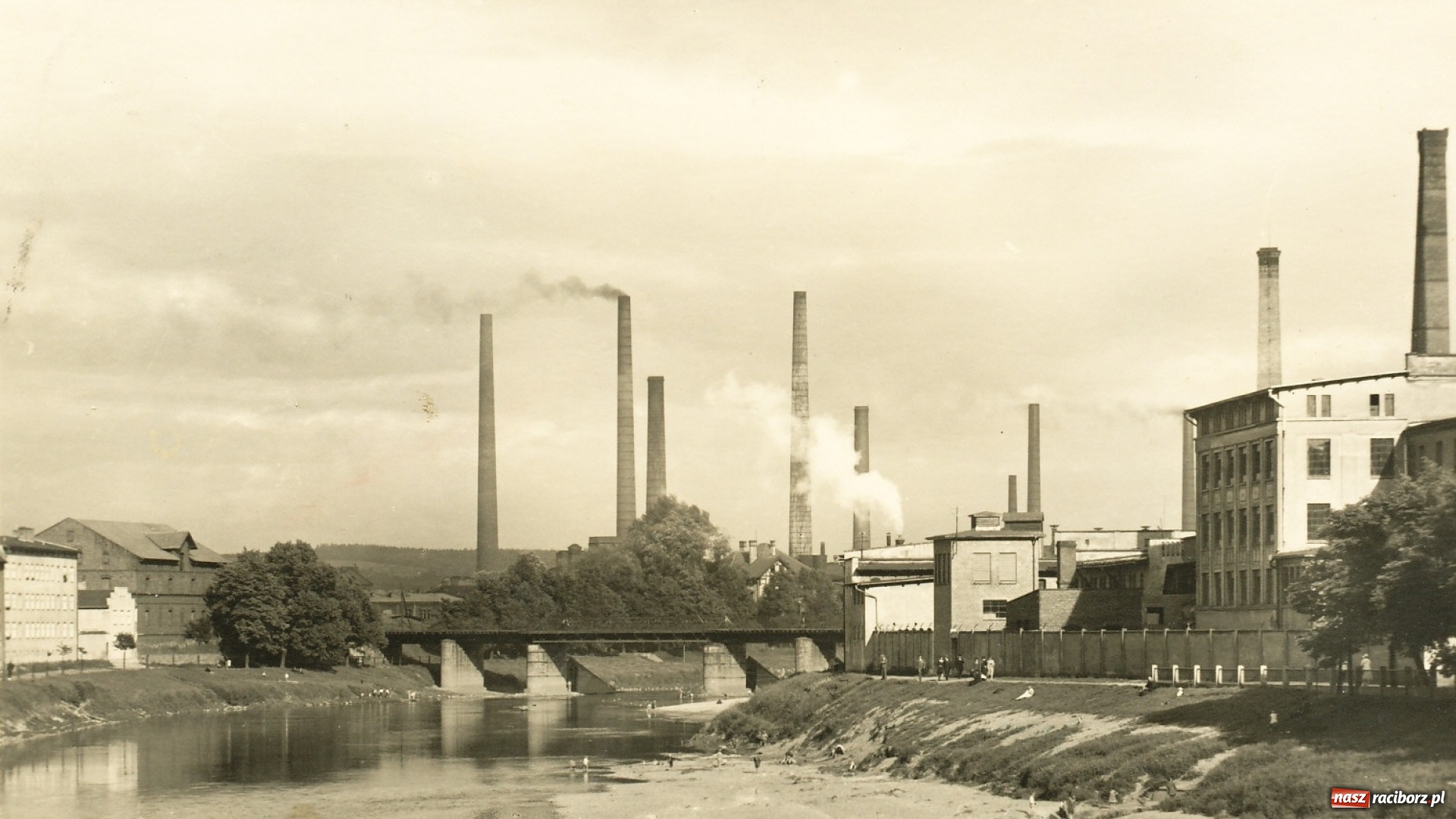 Zdjęcie w galerii na portalu naszraciborz.pl: Raciborskie plaże i pływające baseny FOTO  wiadomości z regionu