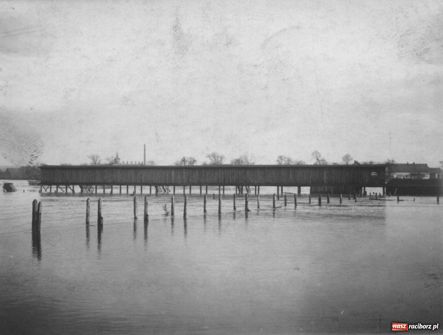 Zdjęcie w galerii na portalu naszraciborz.pl: Raciborskie plaże i pływające baseny FOTO  wiadomości z regionu