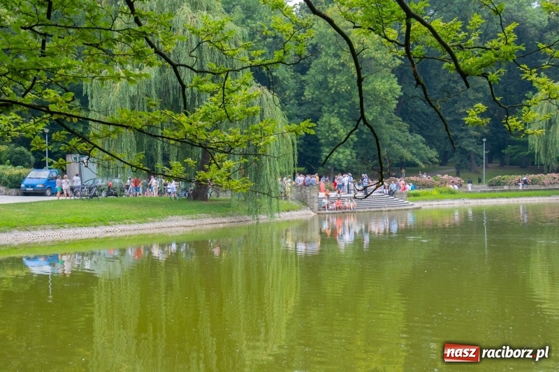 Zdjęcie w galerii na portalu naszraciborz.pl: Od Bacha do Beatlesów. Orkiestra RCK koncertowała w parku Roth wiadomości z regionu
