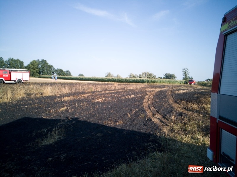 Zdjęcie w galerii na portalu naszraciborz.pl: Pożar kombajnu i ścierniska w Grzegorzowicach wiadomości z regionu