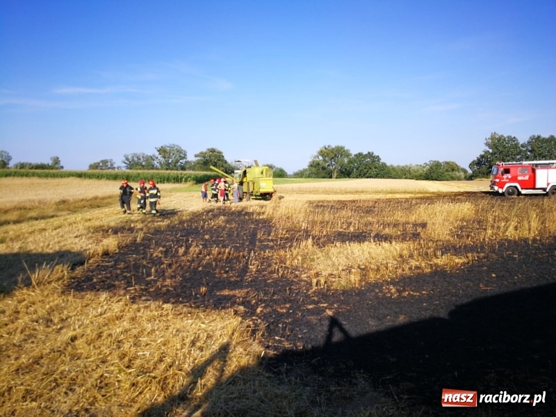 Zdjęcie w galerii na portalu naszraciborz.pl: Pożar kombajnu i ścierniska w Grzegorzowicach wiadomości z regionu