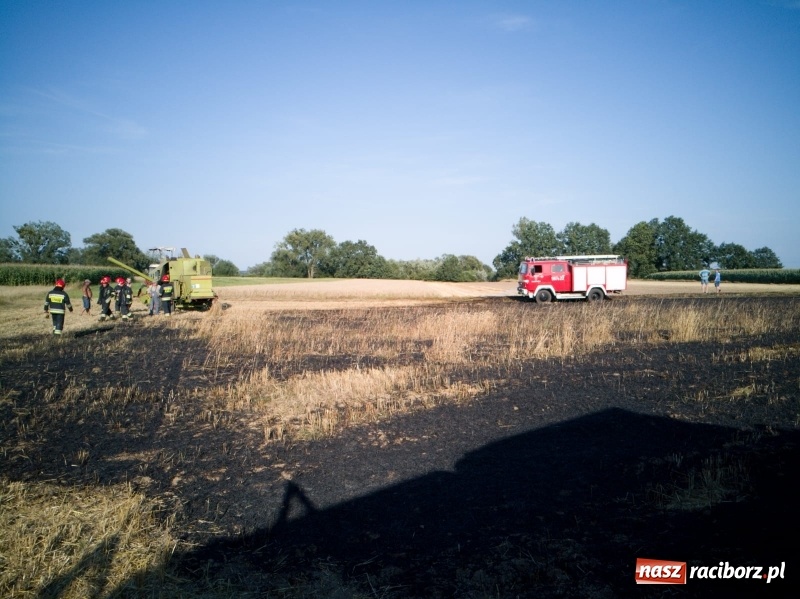 Zdjęcie w galerii na portalu naszraciborz.pl: Pożar kombajnu i ścierniska w Grzegorzowicach wiadomości z regionu