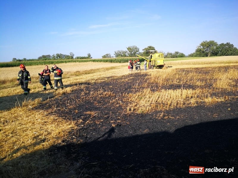 Zdjęcie w galerii na portalu naszraciborz.pl: Pożar kombajnu i ścierniska w Grzegorzowicach wiadomości z regionu