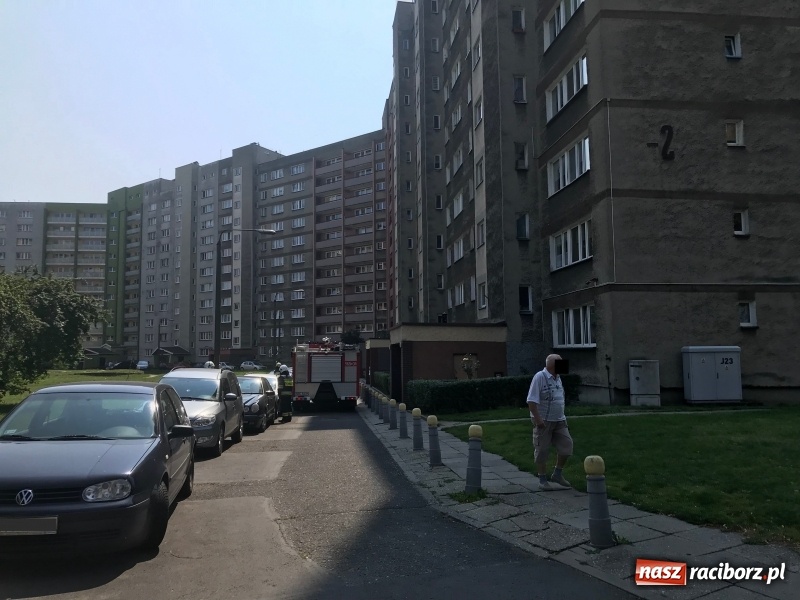 Zdjęcie w galerii na portalu naszraciborz.pl: Spalona potrawa postawiła na nogi cztery zastępy strażaków wiadomości z regionu